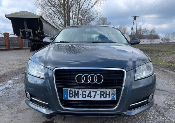 Audi A3 cena 21900 przebieg: 248000, rok produkcji 2011 z Chojnów małe 436